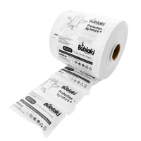 Air Cushion Filler Bublaki 2010 PLA